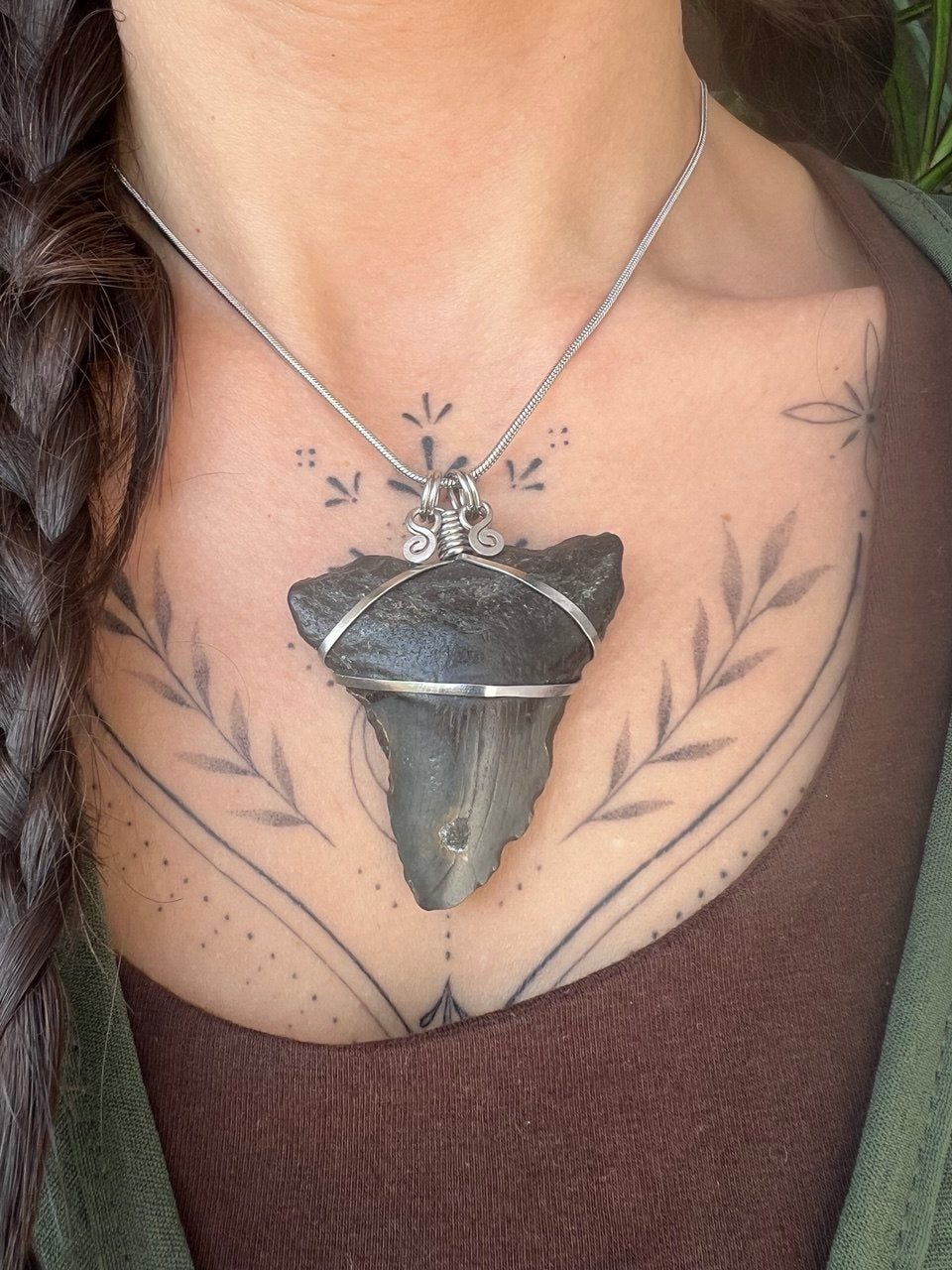 L’Antico Re dei Mari: Dente di Megalodonte 100% Originale