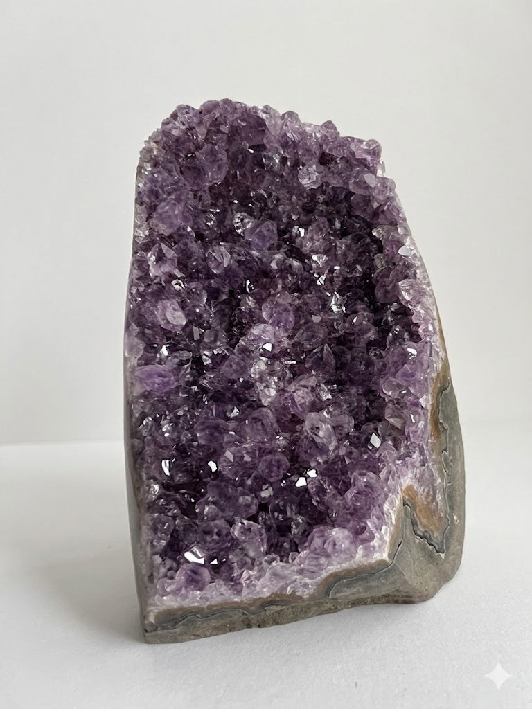 Splendida Drusa di Ametista - Cristalli Extra Fitti  (536 g)