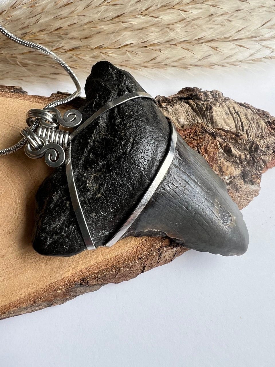 L’Antico Re dei Mari: Dente di Megalodonte 100% Originale