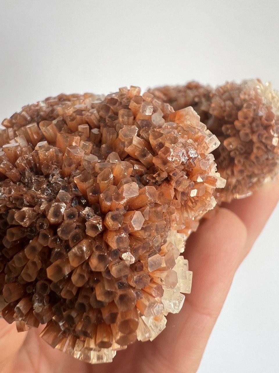 Splendido Cluster di Aragonite Bruna a Crescita Esagonale – 258g