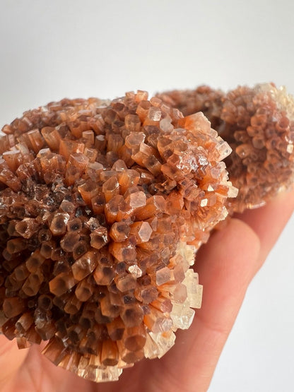 Splendido Cluster di Aragonite Bruna a Crescita Esagonale – 258g