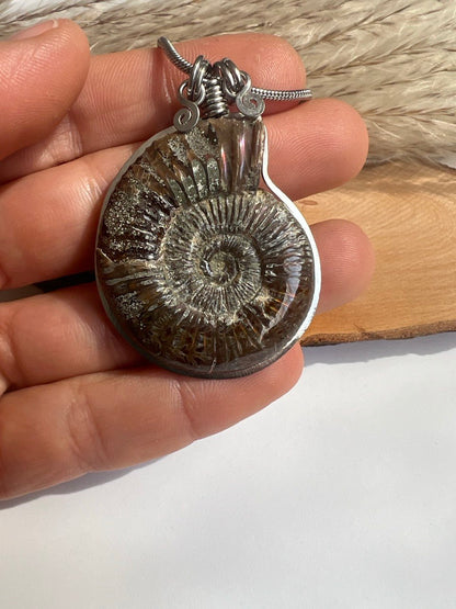 Collana Ammonite Fossile