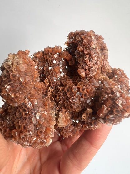 Raffinato Esemplare di Aragonite a Sviluppo Verticale – 269g