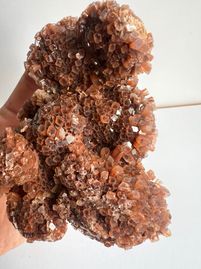 Raffinato Esemplare di Aragonite a Sviluppo Verticale – 269g