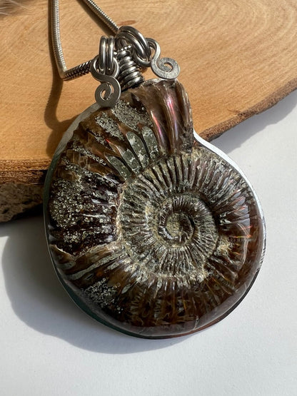 Collana Ammonite Fossile