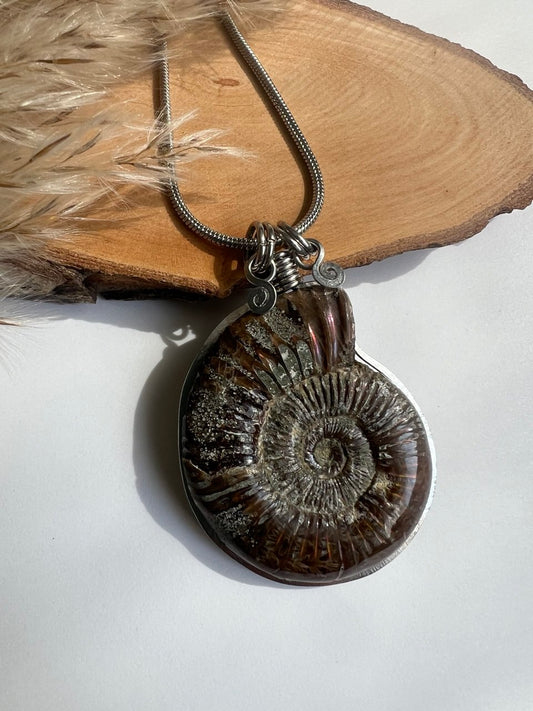 Collana Ammonite Fossile