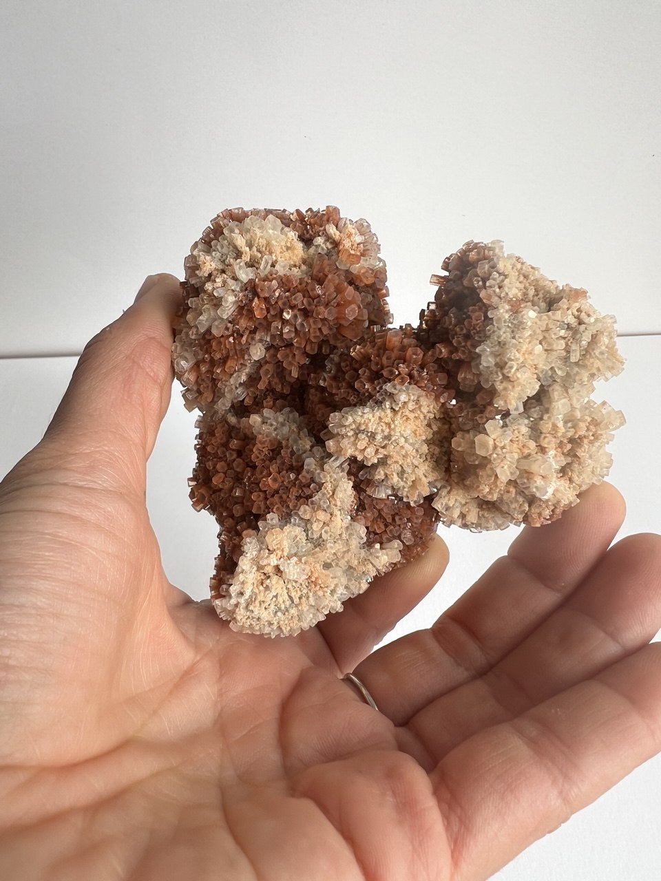 Splendido Cluster di Aragonite Bruna a Crescita Esagonale – 258g