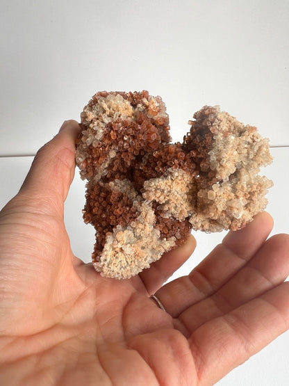 Splendido Cluster di Aragonite Bruna a Crescita Esagonale – 258g
