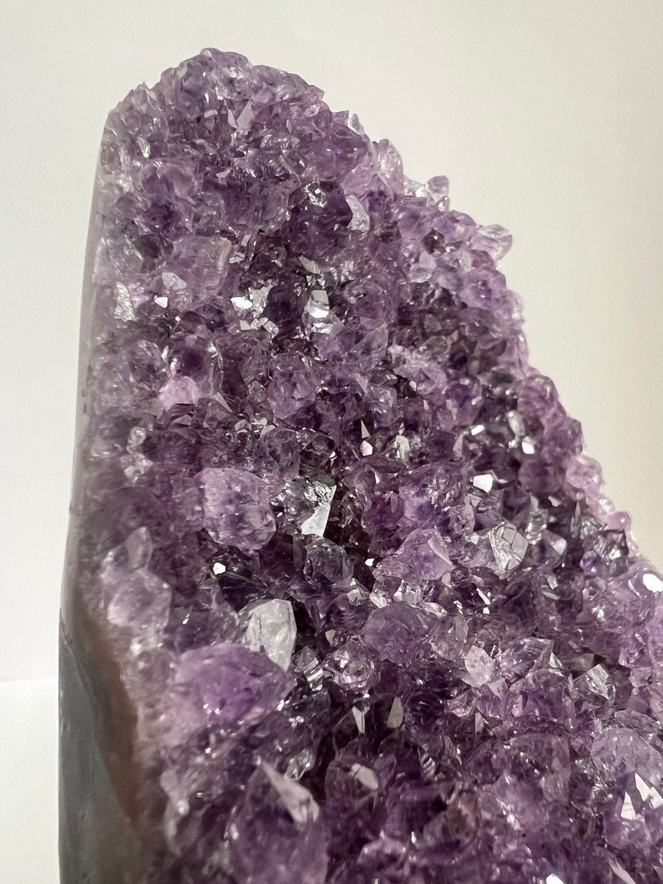 Splendida Drusa di Ametista - Cristalli Extra Fitti  (536 g)