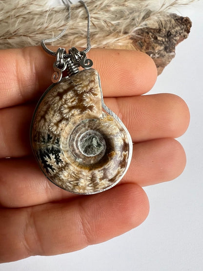 Collana Ammonite Fossile