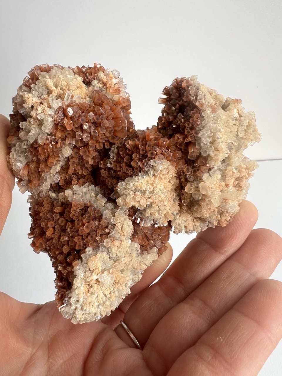 Splendido Cluster di Aragonite Bruna a Crescita Esagonale – 258g