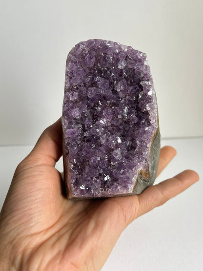 Splendida Drusa di Ametista - Cristalli Extra Fitti  (536 g)