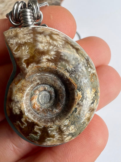 Collana Ammonite Fossile