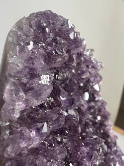 Splendida Drusa di Ametista - Cristalli Extra Fitti  (536 g)
