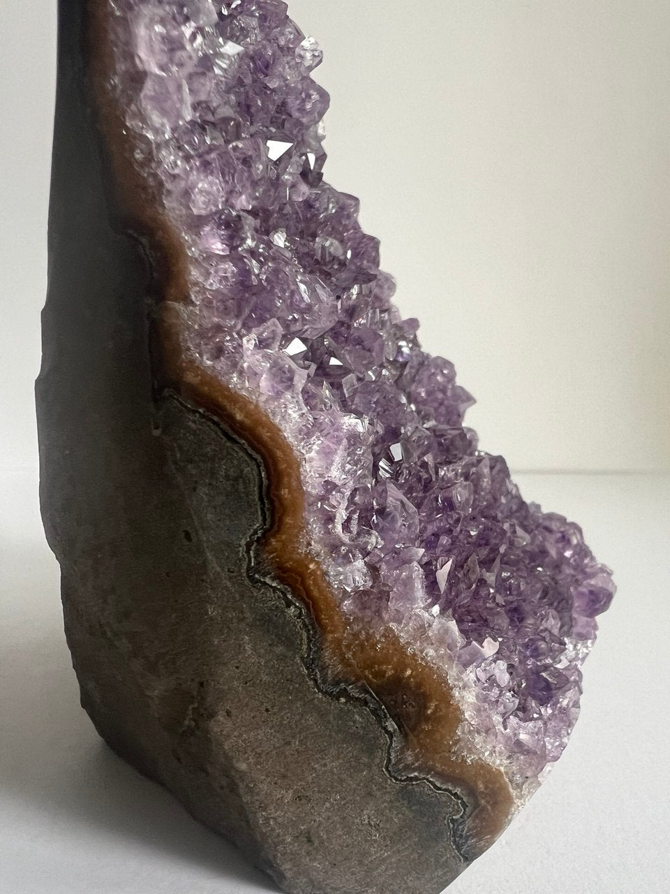 Splendida Drusa di Ametista - Cristalli Extra Fitti  (536 g)