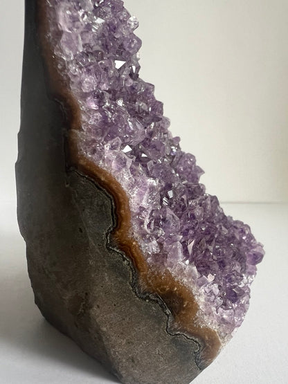 Splendida Drusa di Ametista - Cristalli Extra Fitti  (536 g)