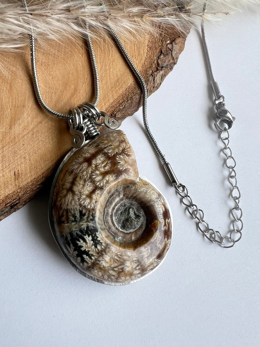 Collana Ammonite Fossile