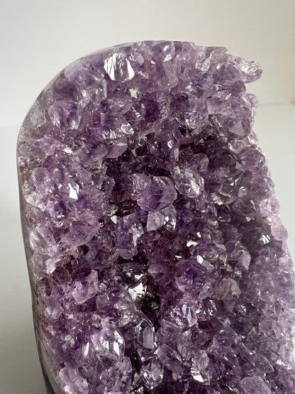 Splendida Drusa di Ametista - Cristalli Extra Fitti  (536 g)