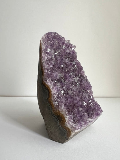 Splendida Drusa di Ametista - Cristalli Extra Fitti  (536 g)