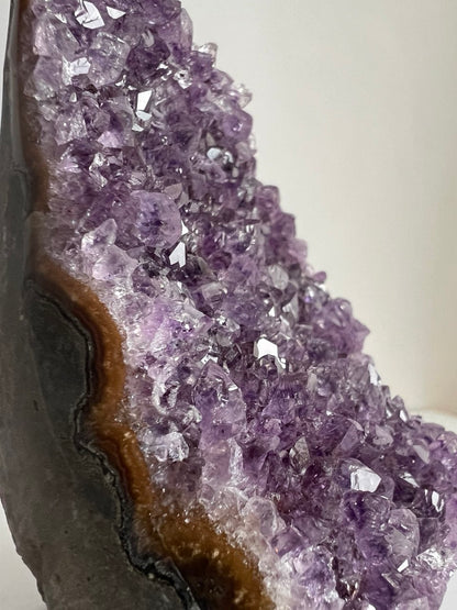 Splendida Drusa di Ametista - Cristalli Extra Fitti  (536 g)