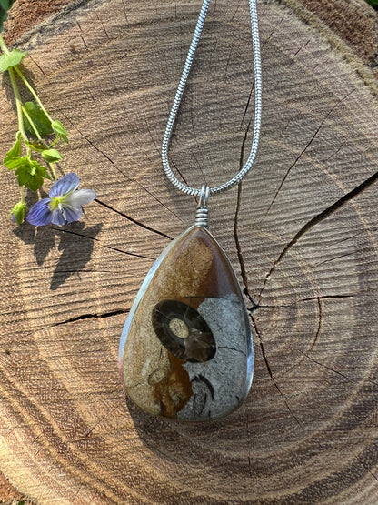 Collana con Agata Turitella fossile dal "Green River Formation" del Wyoming